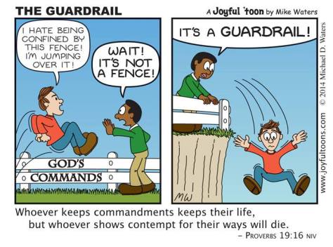 The Guardrail